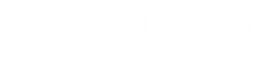 Call Design